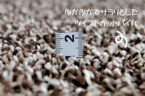 もこもこ♪ふかふか♪ツイストカットパイル!!