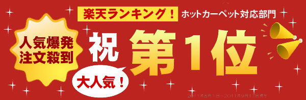 実店舗 人気NO3 防ダニラグ!