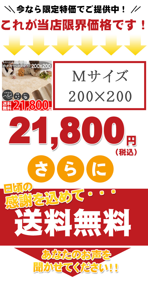 実店舗 人気NO3 防ダニ抗菌!ムートン調ラグ ムーア
