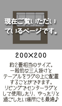 現在のページです。
