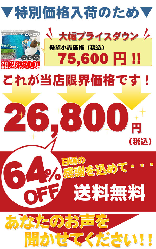 特別価格！！レビューを書いて送料無料！！