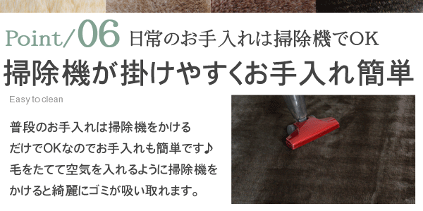 ポイント6 掃除機が掛けやすい