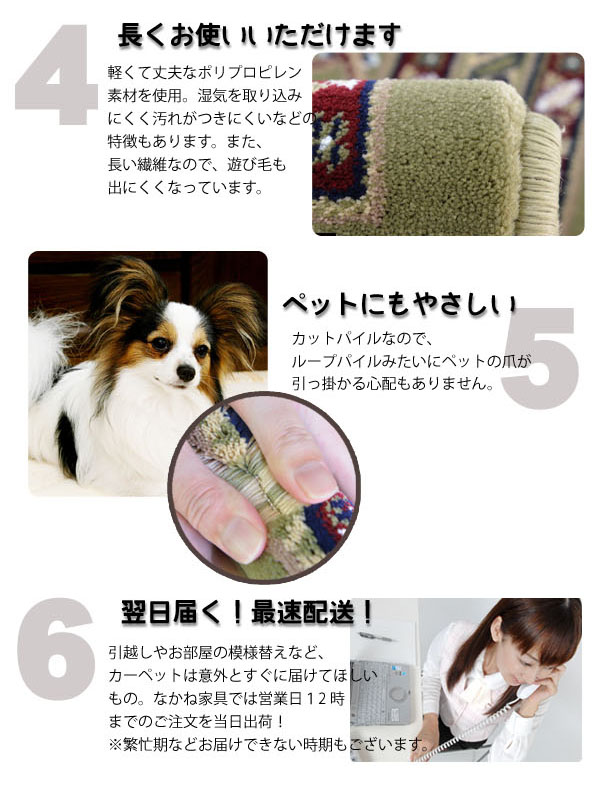 人気の秘密