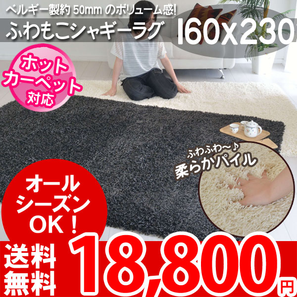 送料込 シャギーラグ マット ベルギー製 カーペット シャギー ラグ マット 約2畳 約185×185cm 正方形 床暖房 ホット