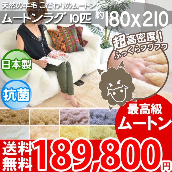 美品 京都西川 ムートンラグ 天然羊毛 オーストラリア産 厚手 備長炭シート 楽天市場】ムートンラグ オーストラリアの通販