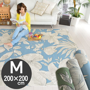 �M���b�x���E�B���g���D�胉�O