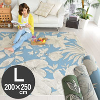 �M���b�x���E�B���g���D�胉�O