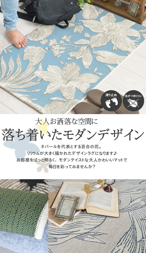 �������������_���f�U�C��