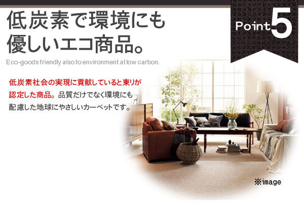 低炭素のエコ商品